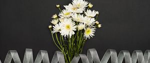 Preview wallpaper chrysanthemum, flowers, bouquet, ribbon, white