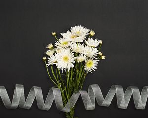 Preview wallpaper chrysanthemum, flowers, bouquet, ribbon, white