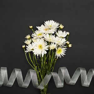 Preview wallpaper chrysanthemum, flowers, bouquet, ribbon, white