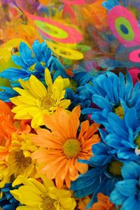 Preview wallpaper chrysanthemum, flowers, bouquets, packaging, colorful, bright