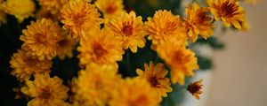 Preview wallpaper chrysanthemum, flowers, yellow, bouquet