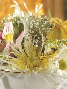 Preview wallpaper chrysanthemum, lily, landysh, gypsophila, bouquet, piala, close-up, tenderness
