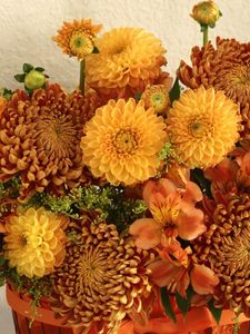 Preview wallpaper chrysanthemums, alstroemeria, composition, bright