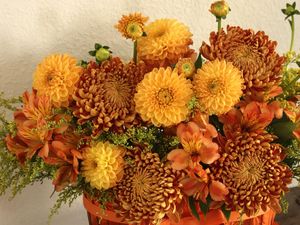 Preview wallpaper chrysanthemums, alstroemeria, composition, bright