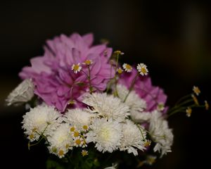 Preview wallpaper chrysanthemums, daisies, bouquet, flowers