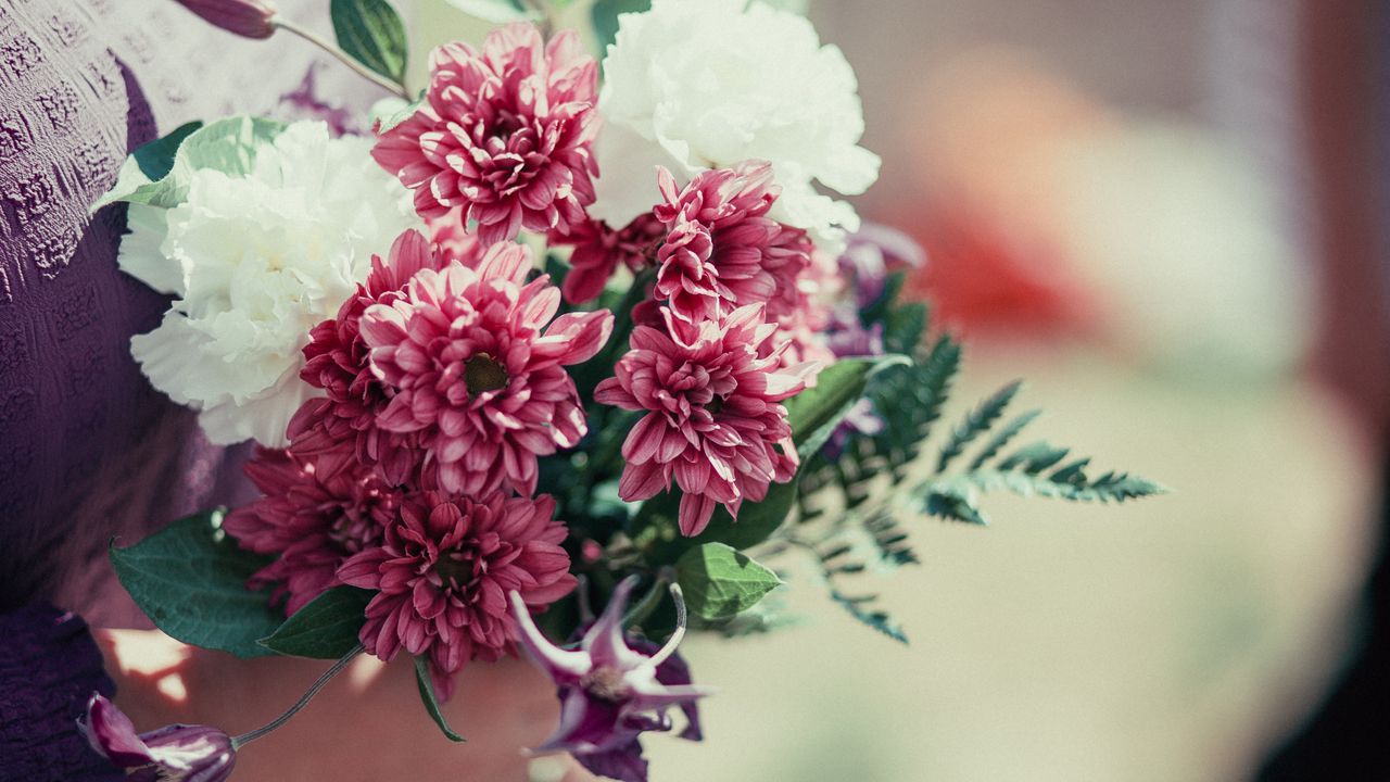 Wallpaper chrysanthemums, flowers, bouquet, petals