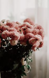 Preview wallpaper chrysanthemums, flowers, bouquet, vase, room