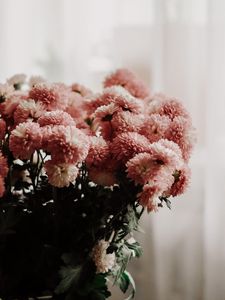 Preview wallpaper chrysanthemums, flowers, bouquet, vase, room