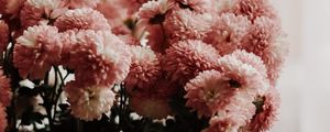 Preview wallpaper chrysanthemums, flowers, bouquet, vase, room