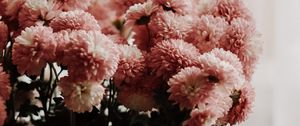 Preview wallpaper chrysanthemums, flowers, bouquet, vase, room