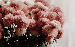 Preview wallpaper chrysanthemums, flowers, bouquet, vase, room