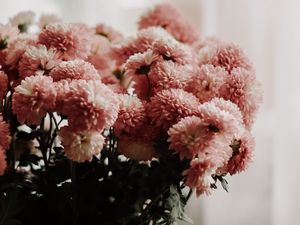 Preview wallpaper chrysanthemums, flowers, bouquet, vase, room