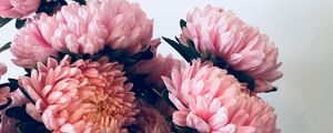 Preview wallpaper chrysanthemums, flowers, bouquet, pink