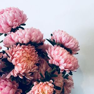 Preview wallpaper chrysanthemums, flowers, bouquet, pink
