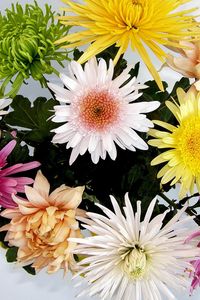 Preview wallpaper chrysanthemums, flowers, bouquet, bright, different