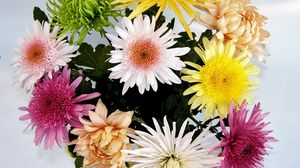Preview wallpaper chrysanthemums, flowers, bouquet, bright, different