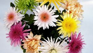 Preview wallpaper chrysanthemums, flowers, bouquet, bright, different