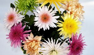 Preview wallpaper chrysanthemums, flowers, bouquet, bright, different