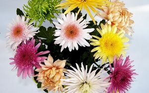 Preview wallpaper chrysanthemums, flowers, bouquet, bright, different