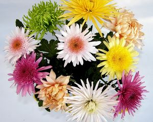 Preview wallpaper chrysanthemums, flowers, bouquet, bright, different