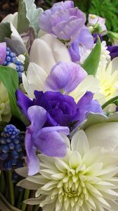 Preview wallpaper chrysanthemums, flowers, bouquet, muscari, lilys of the valley, spring