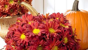 Preview wallpaper chrysanthemums, flowers, buds, pumpkin, composition