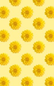 Preview wallpaper chrysanthemums, flowers, pattern, texture, yellow