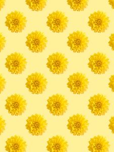 Preview wallpaper chrysanthemums, flowers, pattern, texture, yellow