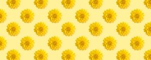 Preview wallpaper chrysanthemums, flowers, pattern, texture, yellow