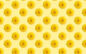 Preview wallpaper chrysanthemums, flowers, pattern, texture, yellow