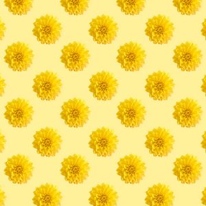 Preview wallpaper chrysanthemums, flowers, pattern, texture, yellow