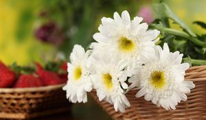 Preview wallpaper chrysanthemums, flowers, white, basket, close-up