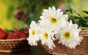 Preview wallpaper chrysanthemums, flowers, white, basket, close-up