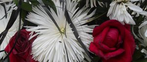 Preview wallpaper chrysanthemums, roses, flowers, bouquet, close-up