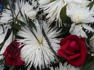 Preview wallpaper chrysanthemums, roses, flowers, bouquet, close-up