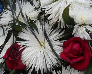 Preview wallpaper chrysanthemums, roses, flowers, bouquet, close-up