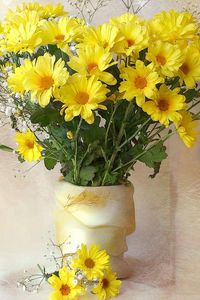 Preview wallpaper chrysanthemums, yellow, flowers, bouquets, gypsophila, vase