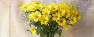 Preview wallpaper chrysanthemums, yellow, flowers, bouquets, gypsophila, vase