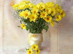 Preview wallpaper chrysanthemums, yellow, flowers, bouquets, gypsophila, vase