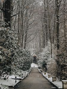 Preview wallpaper church, trees, winter, footpath, snowfall