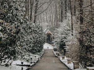 Preview wallpaper church, trees, winter, footpath, snowfall