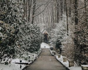 Preview wallpaper church, trees, winter, footpath, snowfall