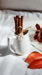 Preview wallpaper cinnamon, spices, dishes, leaves, white
