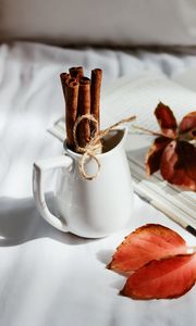 Preview wallpaper cinnamon, spices, dishes, leaves, white