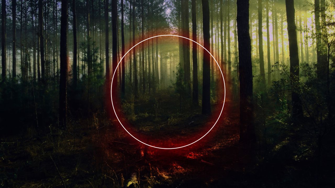 Wallpaper circle, forest, trees, neon, nature, landscape