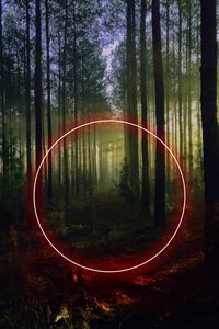 Preview wallpaper circle, forest, trees, neon, nature, landscape