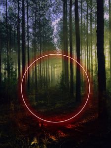 Preview wallpaper circle, forest, trees, neon, nature, landscape