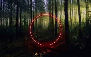 Preview wallpaper circle, forest, trees, neon, nature, landscape