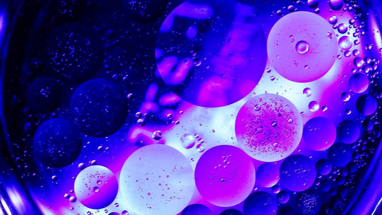 Wallpaper circles, bubbles, purple, macro