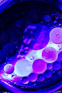 Preview wallpaper circles, bubbles, purple, macro